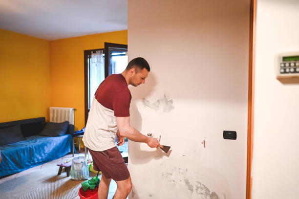 Best Best Mold Removal Companies  in Lillington, NC